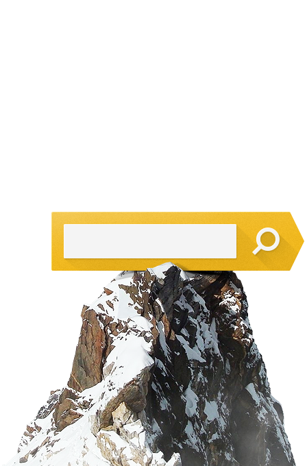 SEO продвижение сайтов Новосибирск